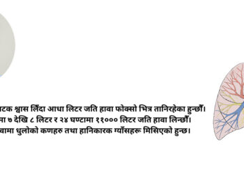 फोक्सोलाई कसरी स्वस्थ राख्ने ? यस्ता छन् डा.महतका सुझाव