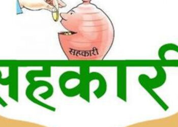 सृजनशिल सहकारीले बिना धितो डेढ सय जनालाई नविकरणीय उर्जा ऋण