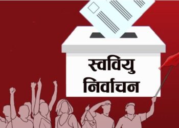 अनेरास्ववियु ११ क्याम्पसमा सर्वसम्मत हुँदा अरु संगठनको स्थिति के ?