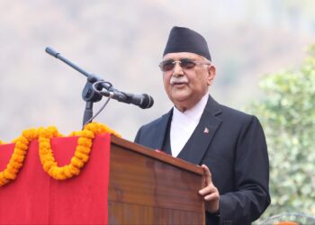 सरकार परिवर्तनको हल्ला असत्य हो, ढुक्कले काम गर्नुस : प्रधानमन्त्री