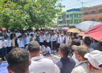 छिटो स्थानीय सेवा ऐन ल्याउन आग्रह गर्दै एक वर्षदेखि सङ्घर्ष