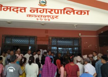 विपद व्यवस्थापन र विषादीजन्य तरकारी नियन्त्रणको माग राख्दै भीमदत्तमा ज्ञापन