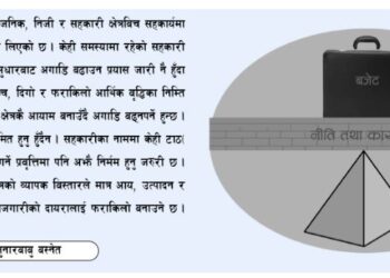 सरकारको वार्षिक कार्यदिशा