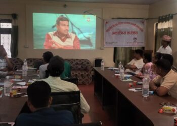 कञ्चनपुरमा छाडा पशु चौपाया व्यवस्थापनमा जोड