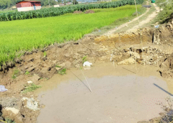 जमिनमुनि भाँसिएको गाडी भेटिएन