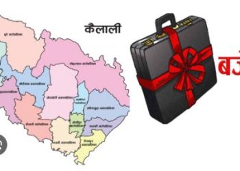 कैलालीका १३ पालिकाको संयुक्त बजेट १३ अर्ब नाघ्यो