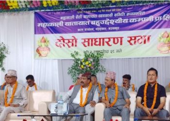 महाकाली यातायात कम्पनीको असार ७ गते निर्वाचन हुने