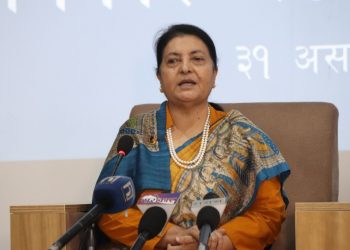 विद्यादेवी भण्डारीको व्यक्तिगत वेबसाइट सार्वजनिक