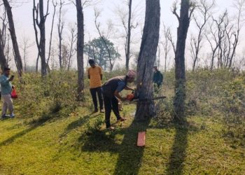 दोधारा–चाँदनी सुक्खा बन्दरगाह निर्माण गर्न एक हजार पाँच सय ९३ रुख कटान