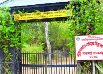 सडक बिग्रेका कारण शुक्लाफाँटा निकुञ्जको सफारी बन्द