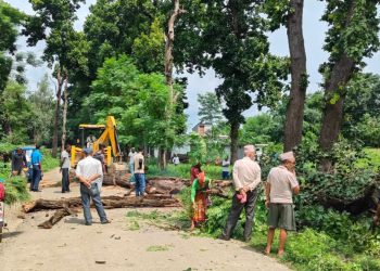 पञ्चायत कालदेखि हटाउन नसकेका बेलडाँडी विच सडकका रुख गणतान्त्रिक युगमा हटाईयो