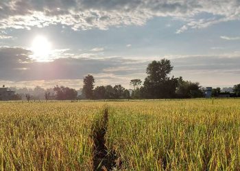 सुदूरपश्चिममा बुधबारदेखि मौसम स्थिर, किसानलाई राहतको अपेक्षा