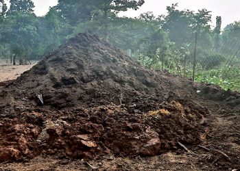 शुक्लाफाँटामा प्राङ्गारिक मलको प्रयोगले उत्पादन र माटोको गुणस्तरमा सुधार