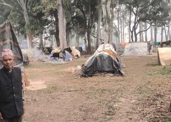 चिसोले कठ्याङ्ग्रिँदै आरक्ष विस्थापित