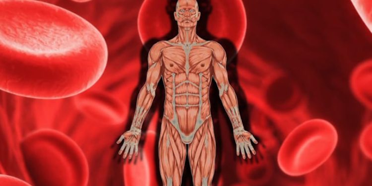 लालझाँडीमा २२३ जनामा सिकलसेल–थालसेमिया ‘ट्रेट’ भेटियो