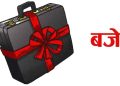 आगामी बजेट निजी लगानी र रोजगारी प्रवर्द्धनमा केन्द्रित हुने