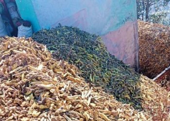 बजार अभावले शुक्लाफाँटाका जडीबुटी प्रशोधन प्लान्ट प्रयोगविहीन