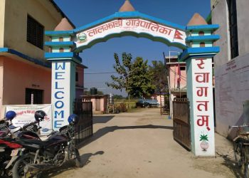 लालझाडीले इन्धनमा मात्रै ग¥यो ३६ लाख ७२ हजार खर्च