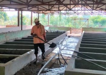 गड्यौला मल उत्पादनतर्फ किसान आकर्षित, शुक्लाफाँटामा सीपमूलक तालिम