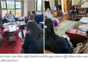 संविधान संशोधनबारे सुझाव लिन पूर्वराष्ट्रपतिद्वयसँग कार्यदलको परामर्श