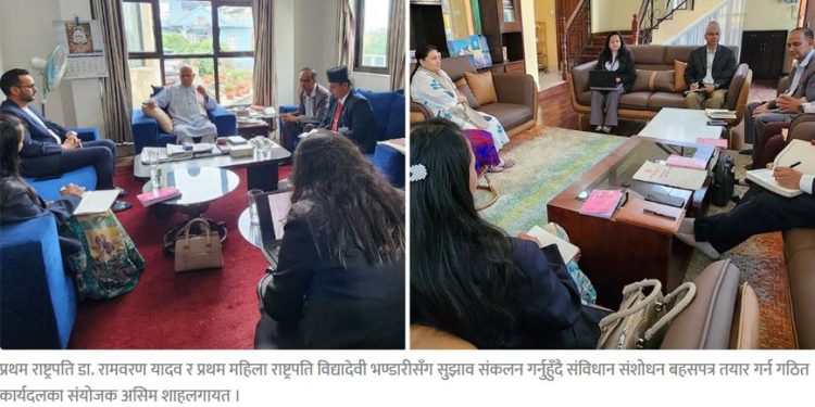 संविधान संशोधनबारे सुझाव लिन पूर्वराष्ट्रपतिद्वयसँग कार्यदलको परामर्श