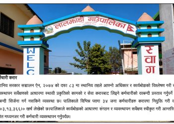 महालेखाको प्रश्नः कानुनी प्रक्रिया बिना लालझाडीमा ३४ कर्मचारी करारमा