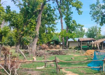 भूमिहीनको व्यवस्थापनबिना जग्गा खाली गराउने अभियान चुनौतीपूर्ण