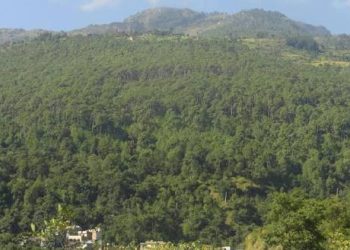 वन संरक्षणसँगै स्थानीयको जीविकोपार्जनमा टेवा दिँदै वातावरण मध्यवर्ती सामुदायिक वन